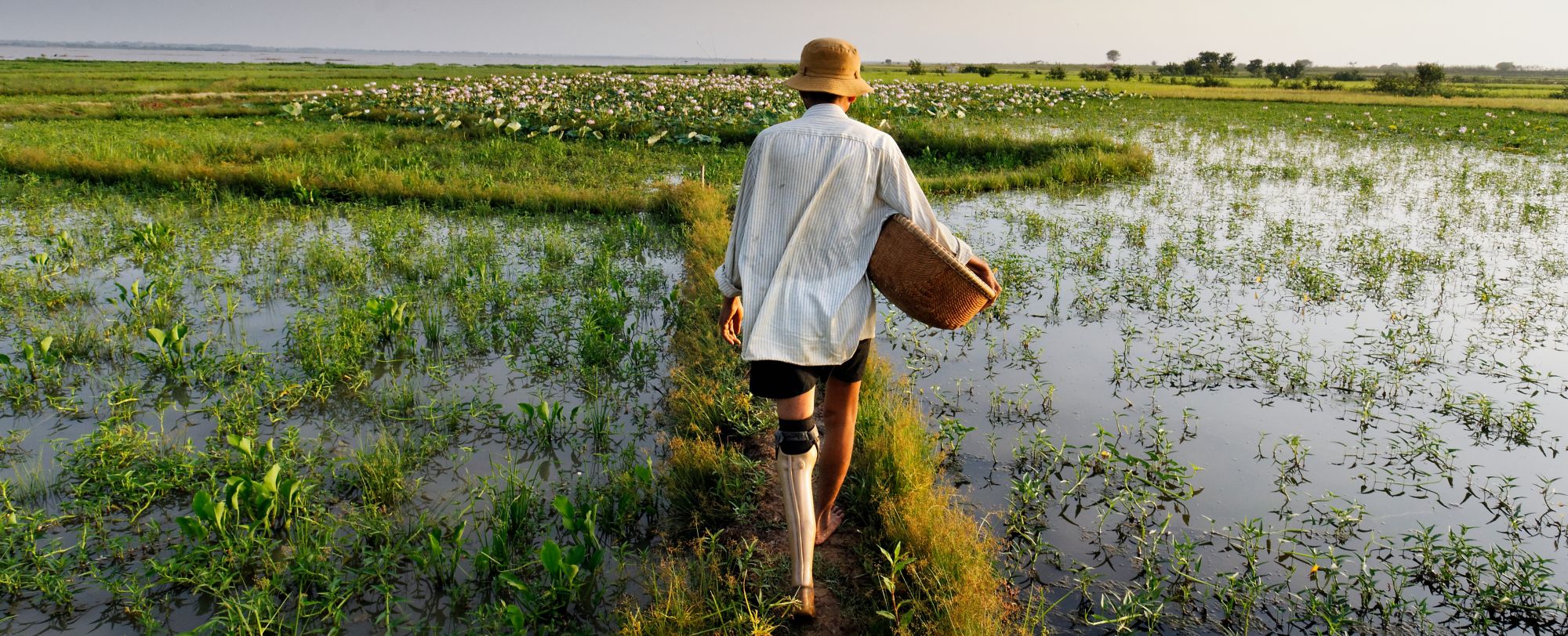 Homme équipé d'une prothèse marche dans des marais